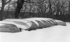 Winter Camp