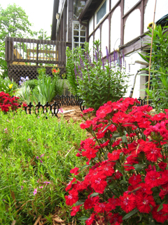 Garden2010