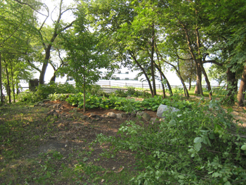 Garden10g
